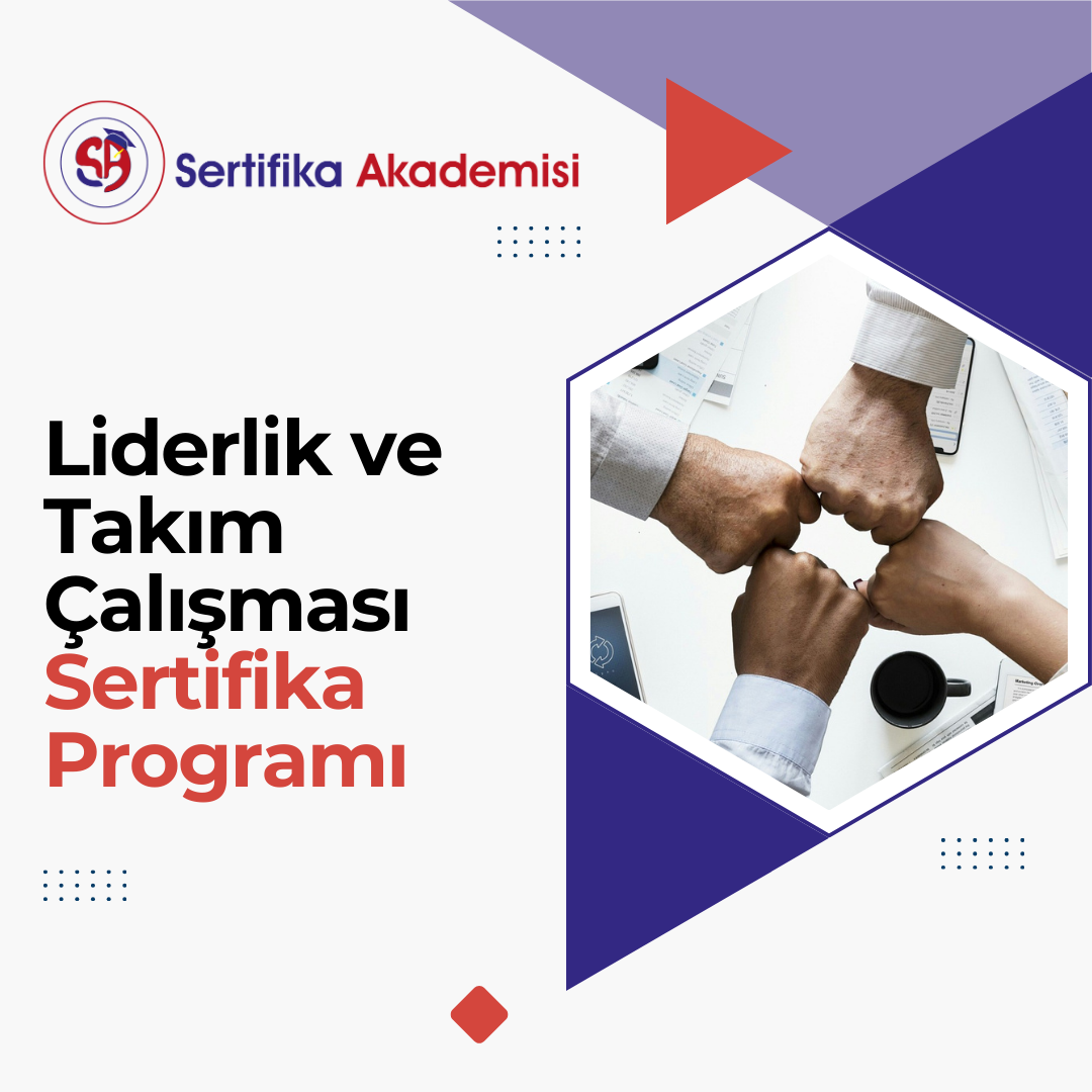 Liderlik ve Takım Çalışması